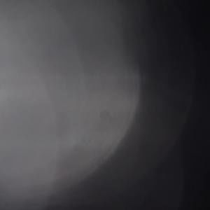 Meet your Posher, Henry